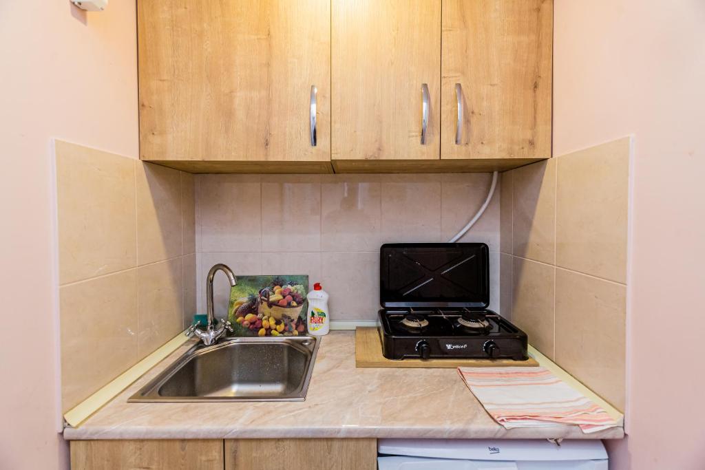 Kuchyň nebo kuchyňský kout v ubytování Anzori House
