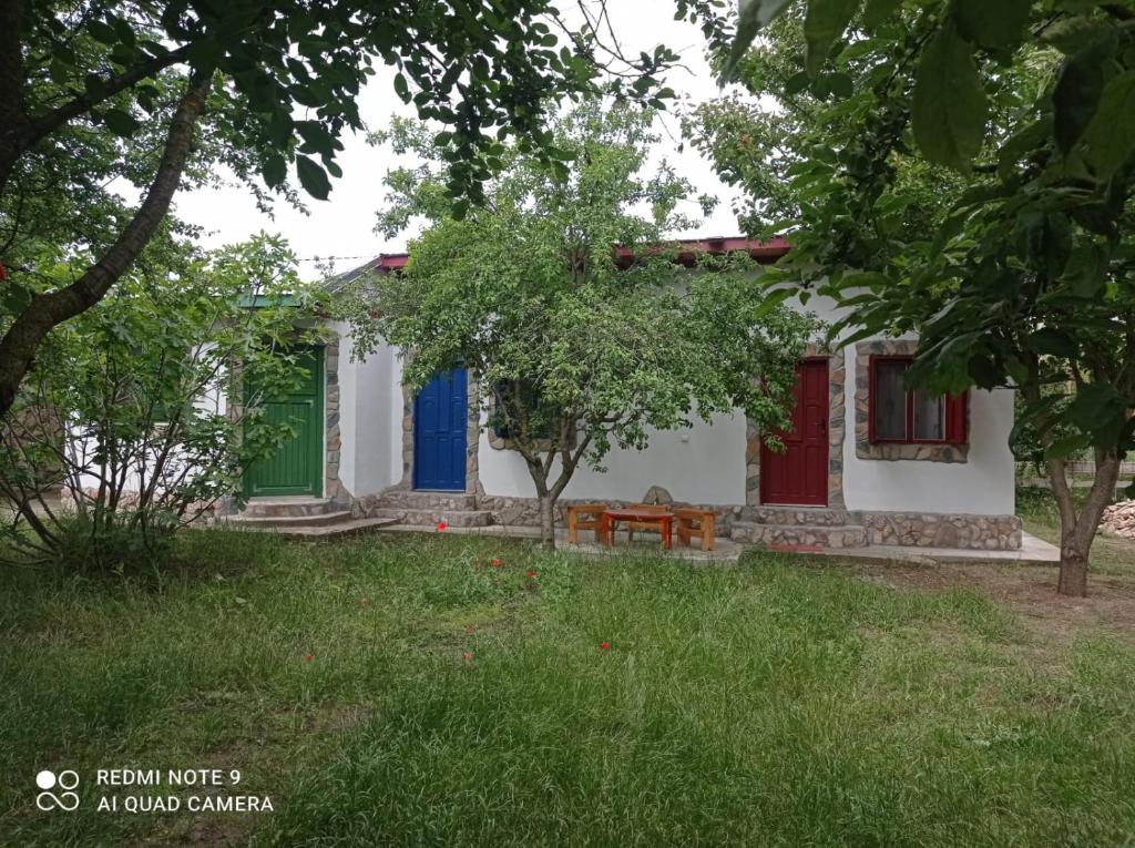 a house with colorful doors in a yard at La Actoru` in Vama Veche