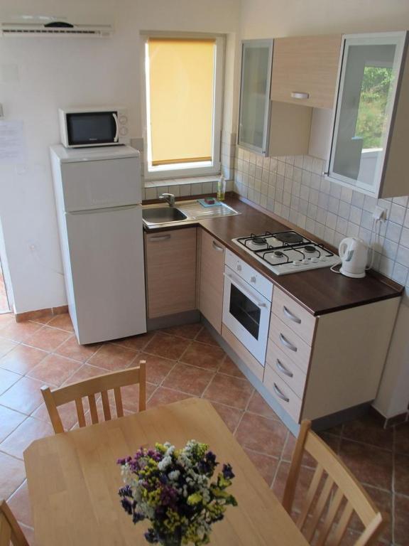 Kuchyňa alebo kuchynka v ubytovaní Apartment in Vir with sea view, terrace, air conditioning, WiFi 4472-1
