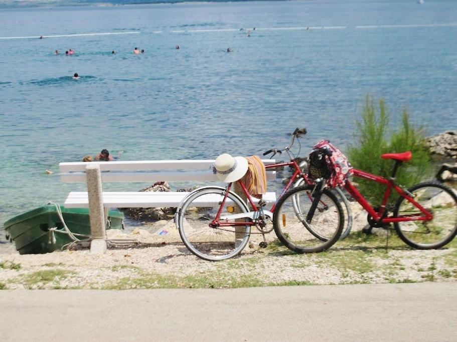 Príroda v okolí apartmánu