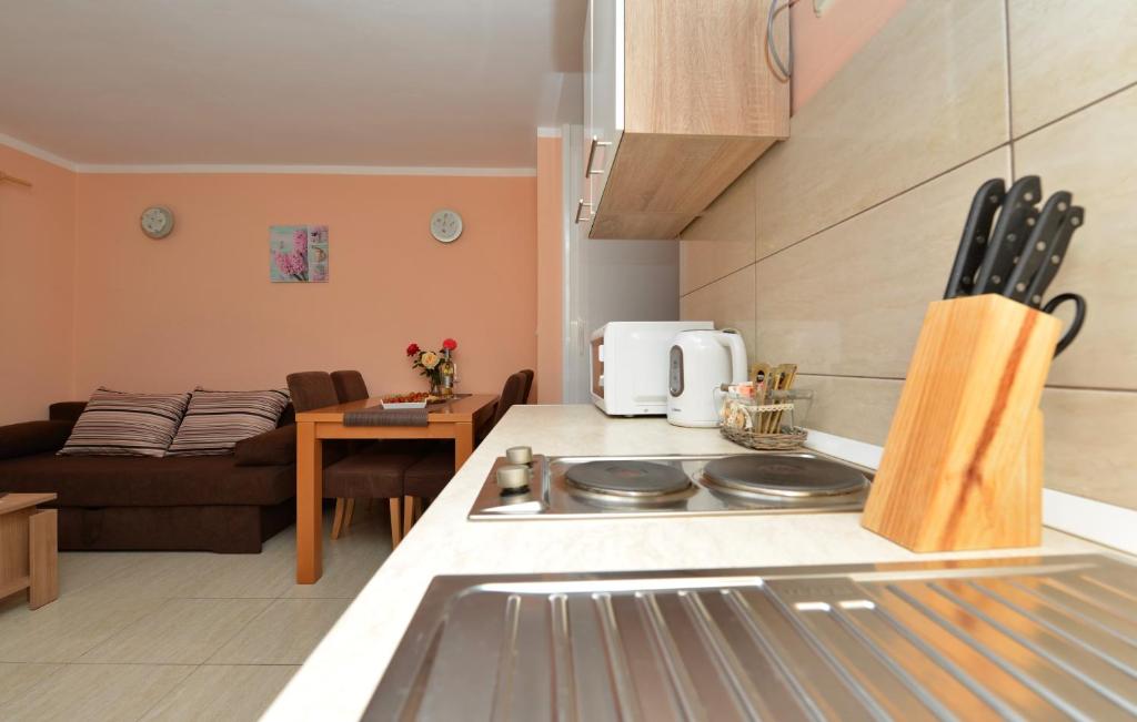 Kuchyňa alebo kuchynka v ubytovaní Apartment Kokic