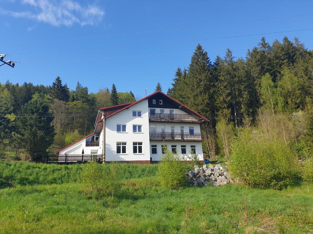 una gran casa blanca en una colina en un campo en Penzion Lumis en Nová Role