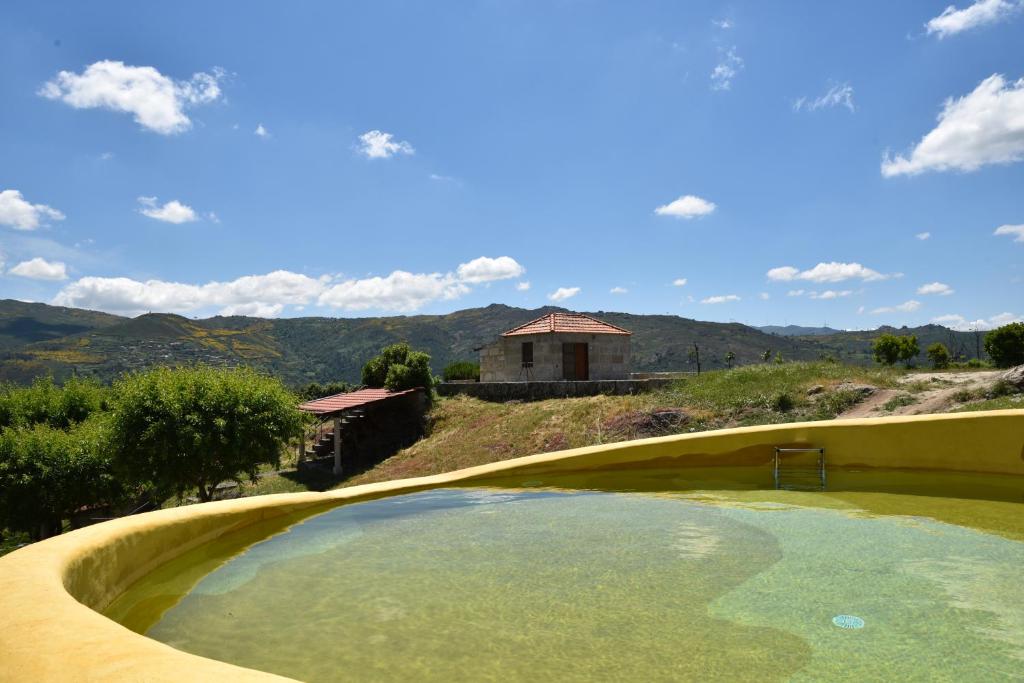 uma grande piscina no meio de um quintal em Quinta de S. Cipriano em Resende