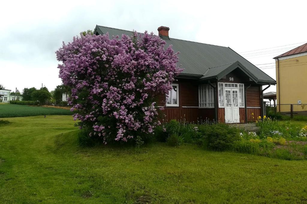 una casa con un gran arbusto púrpura delante de ella en Domek na wsi en Tomaszów Lubelski