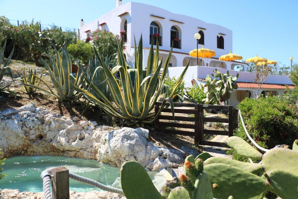 um jardim com cactos e uma casa ao fundo em Albergo"Villa Biscotti" em Peschici