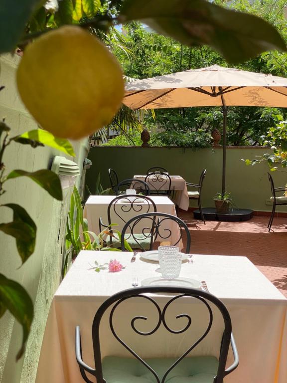 Hotel David - Resim 41