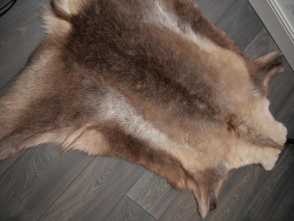 Zvířata v hotelu nebo okolí