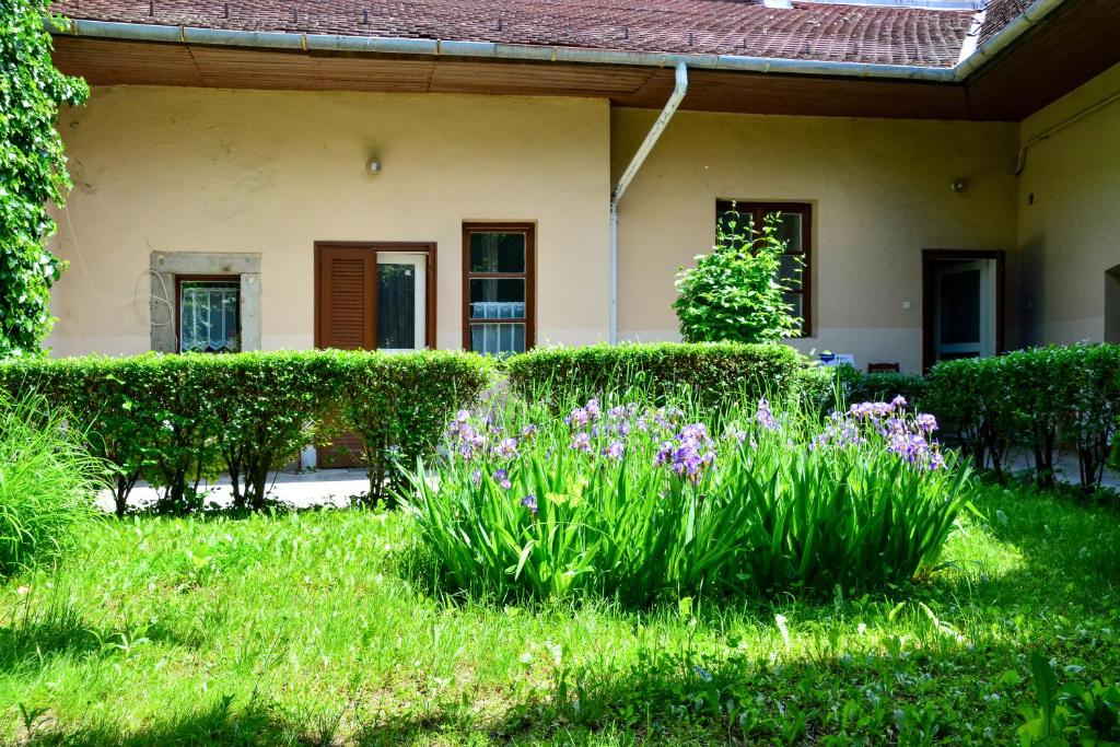 a garden in front of a house with flowers at Afrodité Apartmanok in Eger