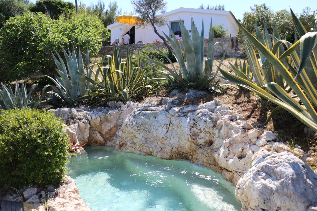Um jardim no exterior de Albergo"Villa Biscotti"