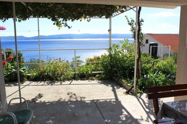 Príroda v okolí apartmánu