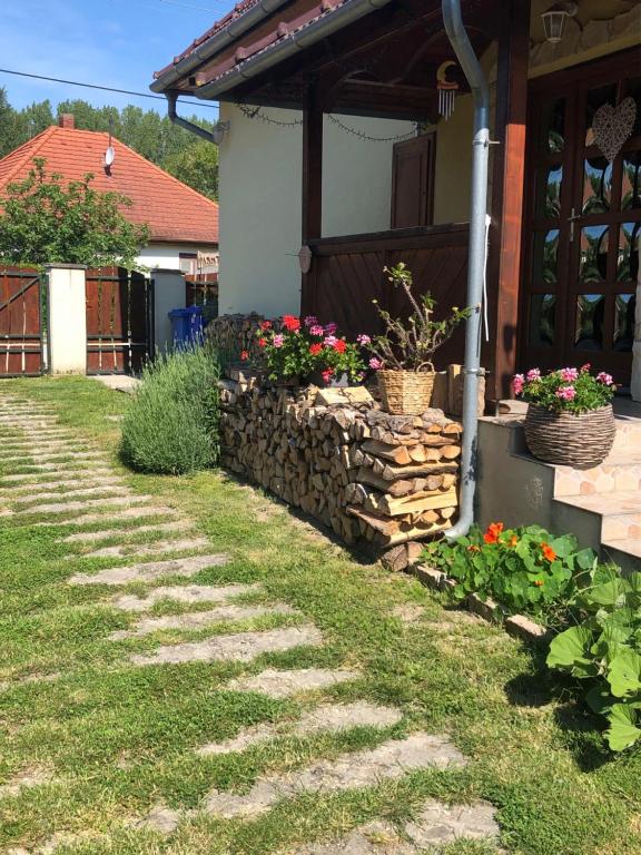 Zahrada ubytování Citellus Apartman