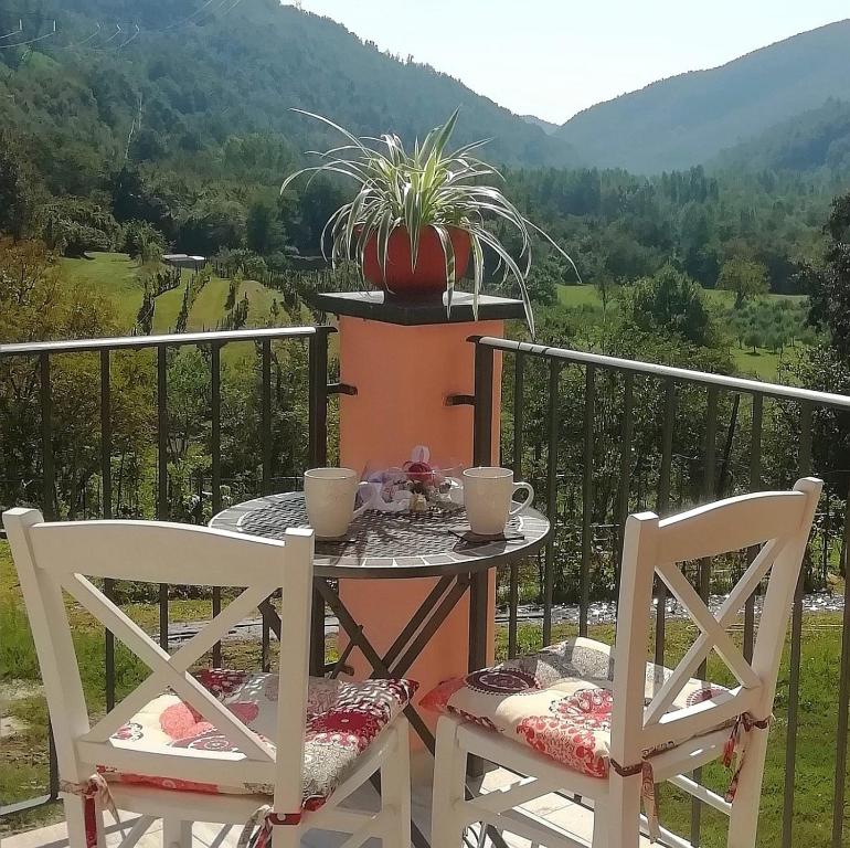 une table avec deux chaises et une plante en pot sur un balcon dans l'établissement LissaHouse Agriturismo, à San Pietro Vara