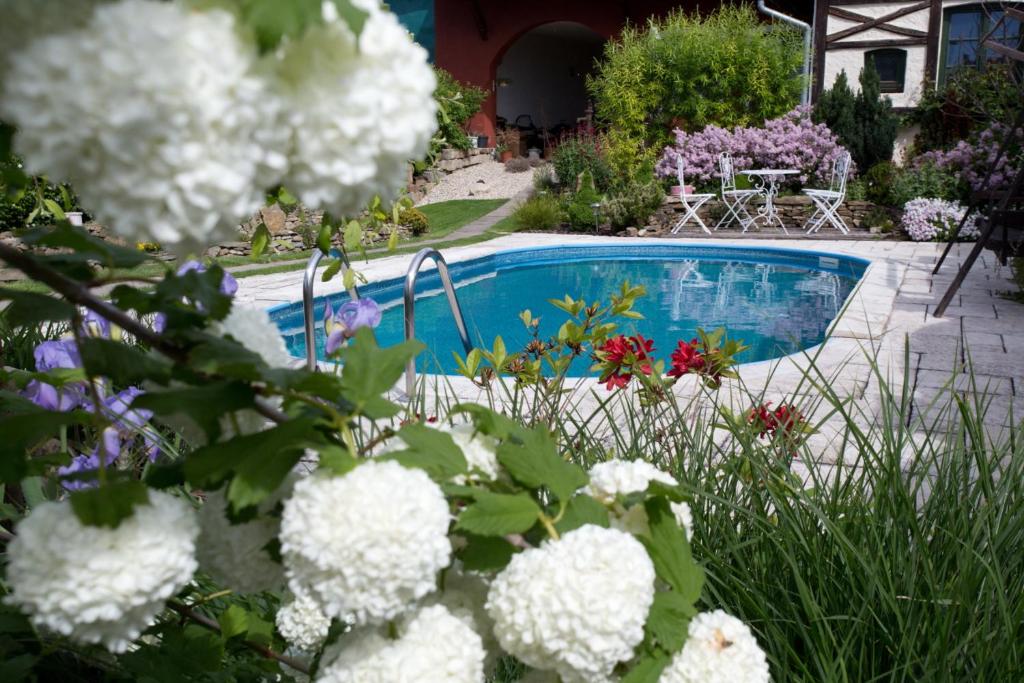 a swimming pool in a garden with white flowers at Ubytování BŘECLAV in Břeclav