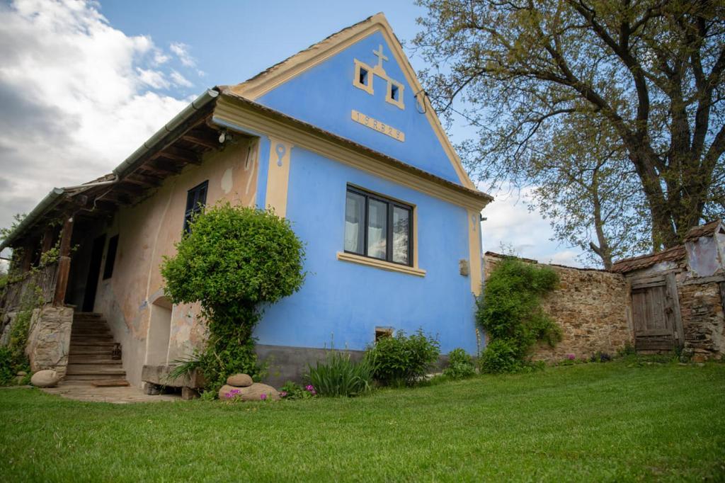 una casa azul y blanca con patio en Casa din Şona en Şona
