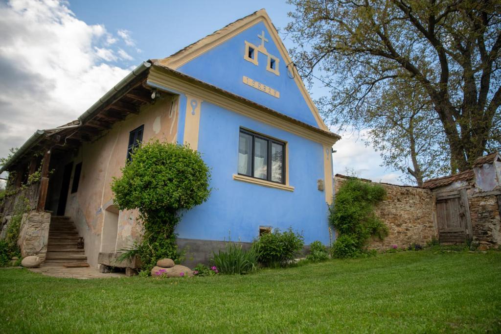 a blue and white house with a yard at Casa din Şona in Şona