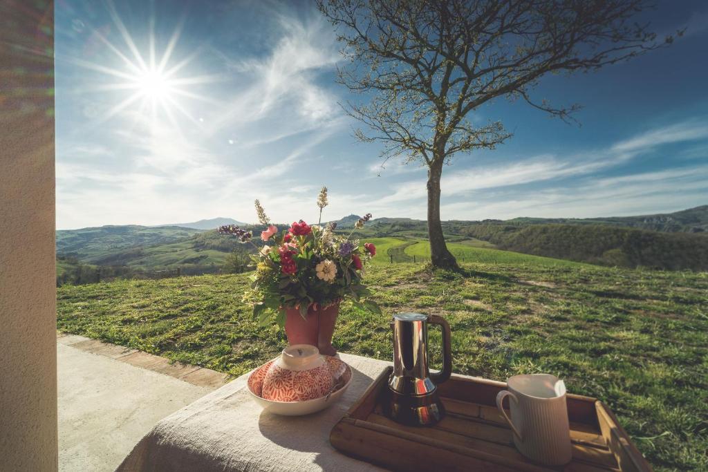 un jarrón de flores sobre una mesa con vistas a un campo en LA FORNACE en San Casciano dei Bagni
