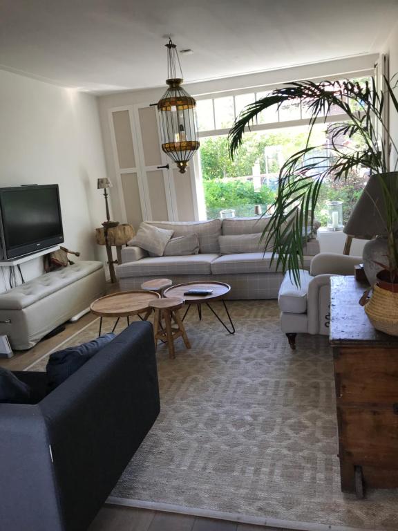 een woonkamer met banken en tafels en een tv bij Birdy in Vogelenzang