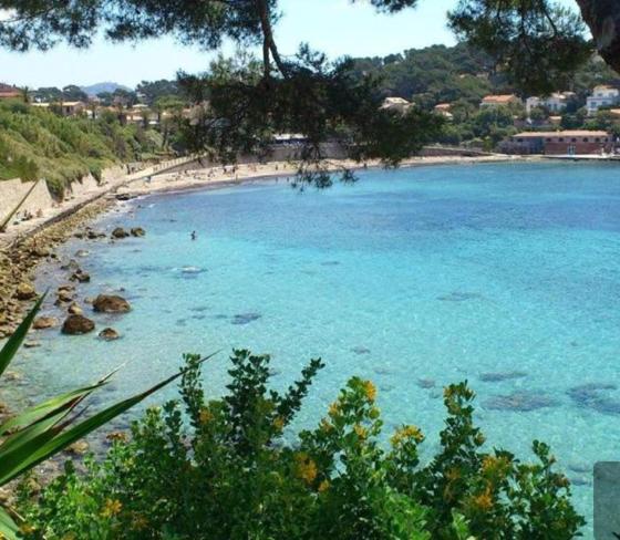 una playa con un grupo de personas en el agua en Studio avec parking privé, plage et centre à pied 1 en Sanary-sur-Mer