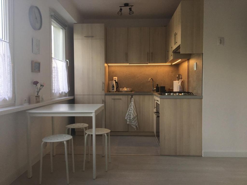 A kitchen or kitchenette at Apartament Blisko Jeziora