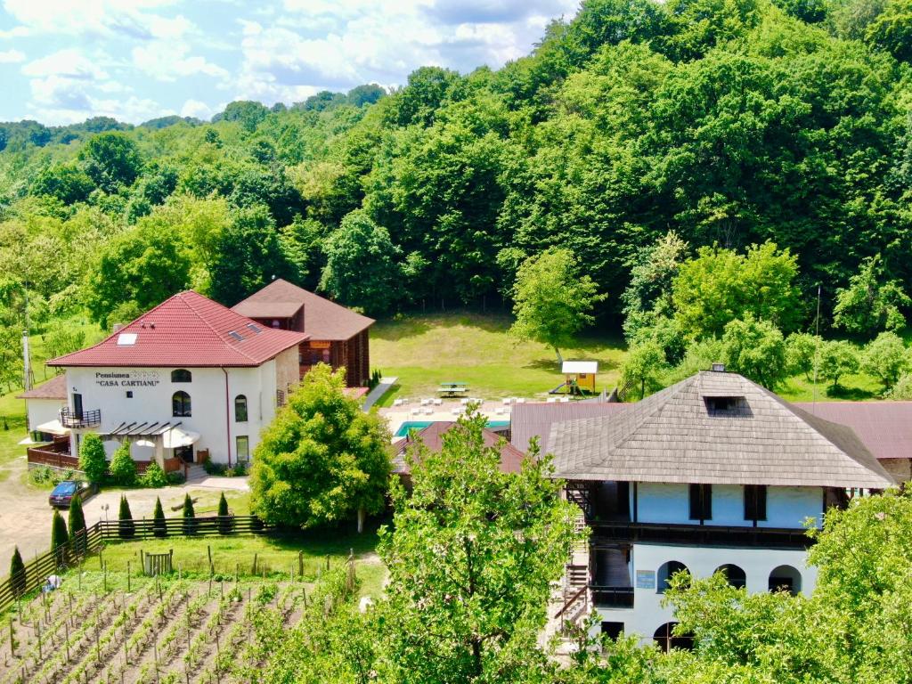 an aerial view of a farm with a house and trees at Casa Cartianu in Târgu Jiu