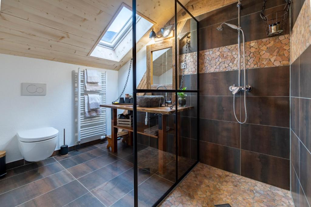 ein Bad mit einer Dusche und einem WC in der Unterkunft B&B Restaurant Le Pernollet in Evionnaz