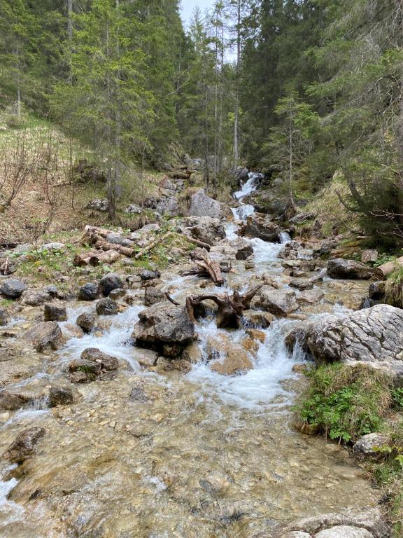 Příroda nedaleko apartmánu