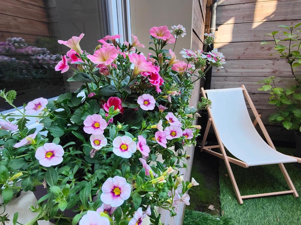 a chair sitting next to a bunch of flowers at Le Bienvenu - T2 avec terrasse au coeur de Malo in Dunkerque