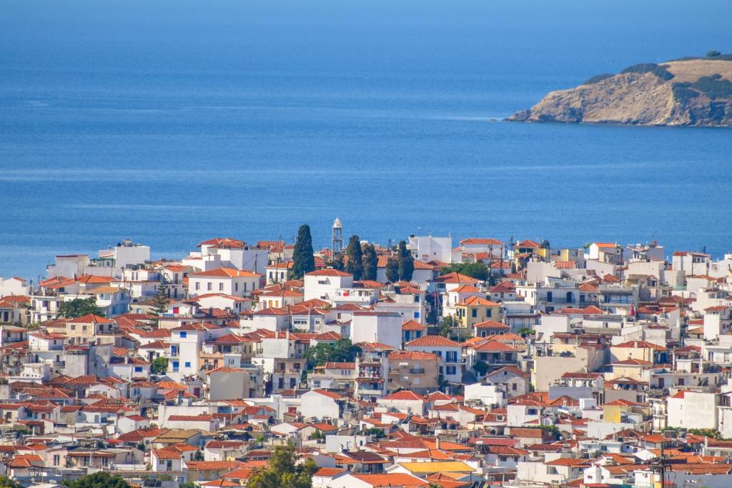 a view of a city with houses and the ocean at Georgia Villas in Skiathos