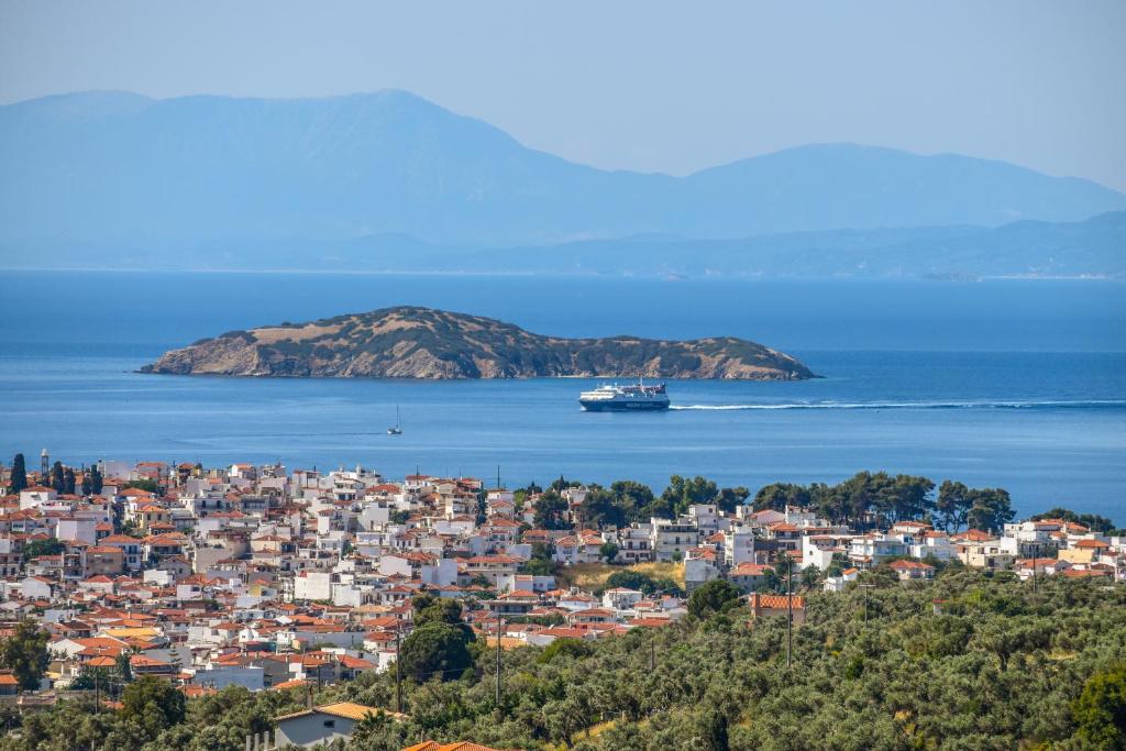 a cruise ship in the water near a city at Georgia Villas in Skiathos