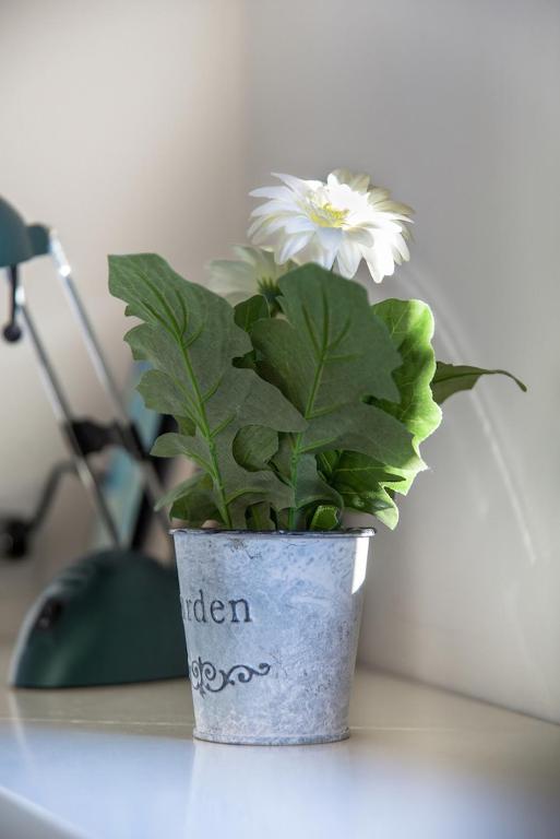 MANSARDINA - 1 min from Accademia - duplex stylish and cosy - 8