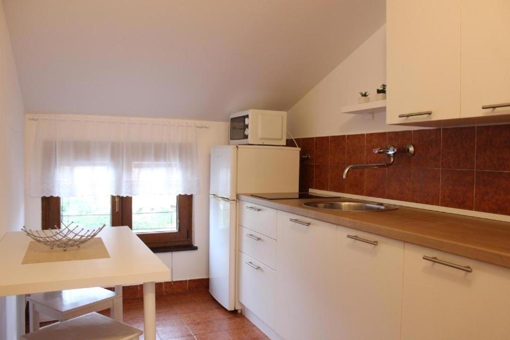 Kuchnia lub aneks kuchenny w obiekcie Apartment in Stinjan with sea view, terrace, air conditioning, WiFi 5018-1