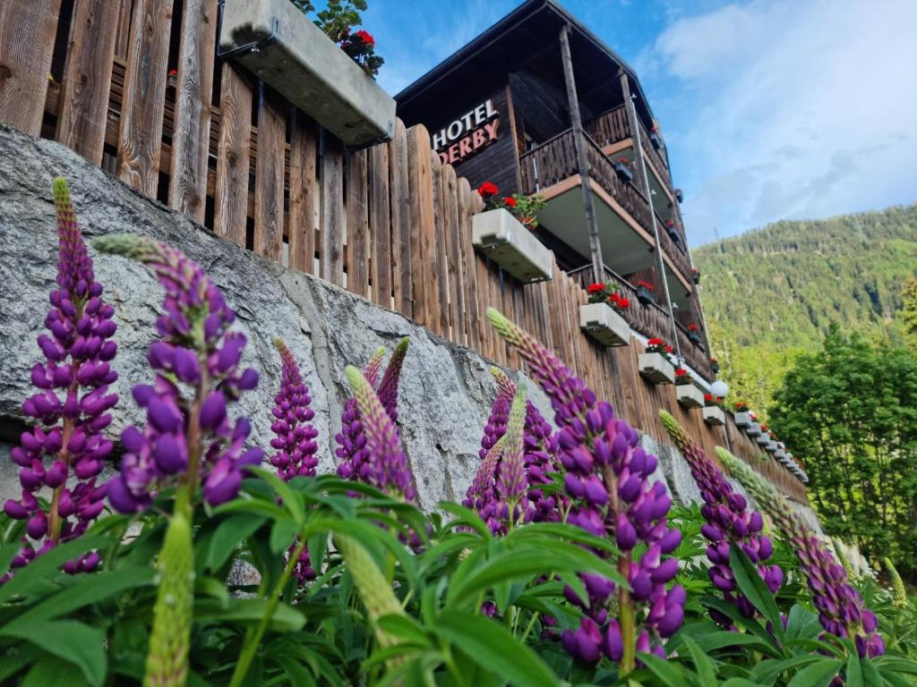 a garden of purple flowers in front of a building at Hotel Derby in Fiesch