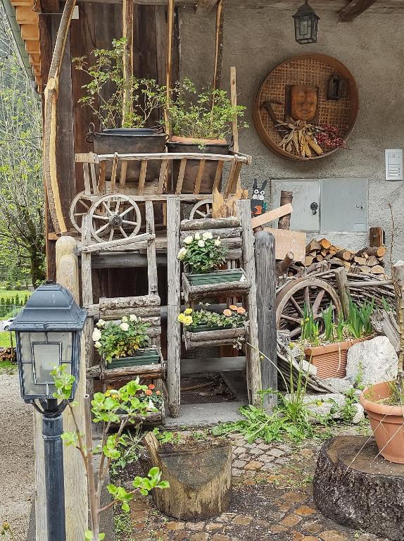 Zahrada ubytování Cianbolpin Guesthouse