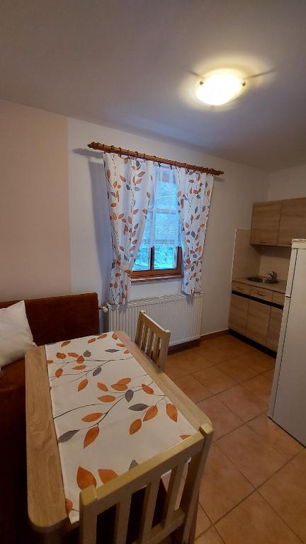 Kuchyň nebo kuchyňský kout v ubytování Pension U Štěpánků