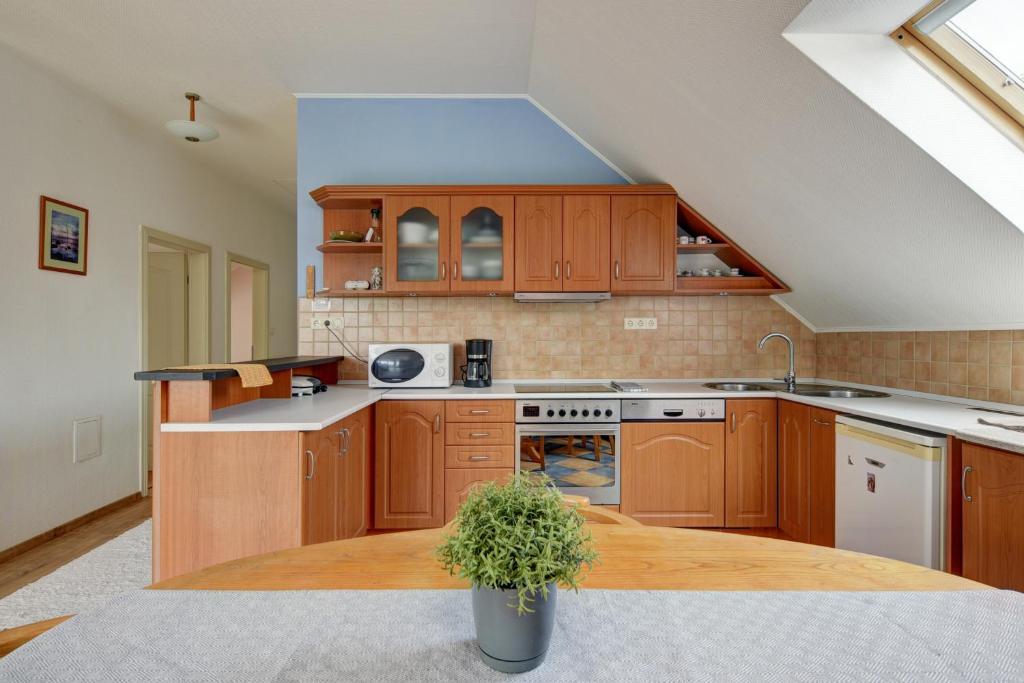 Kuchyňa alebo kuchynka v ubytovaní Apartman Villa Magdalena