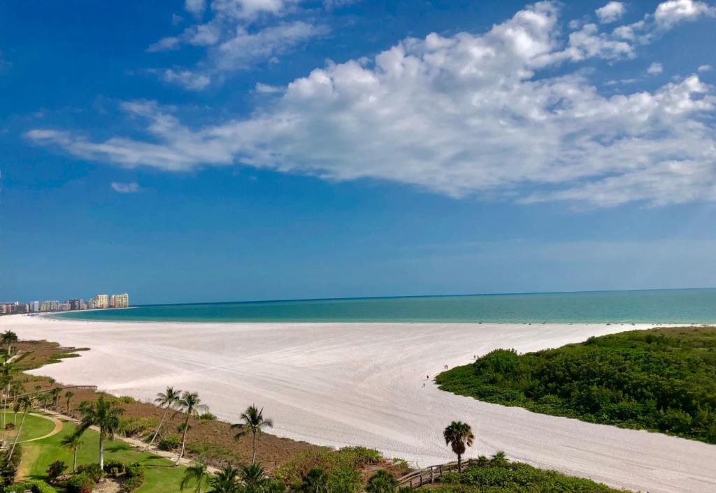 a view of a beach with palm trees and the ocean at South Seas Tower 3 #1005 - Beachfront 2/2 Long Beach Views! in Marco Island