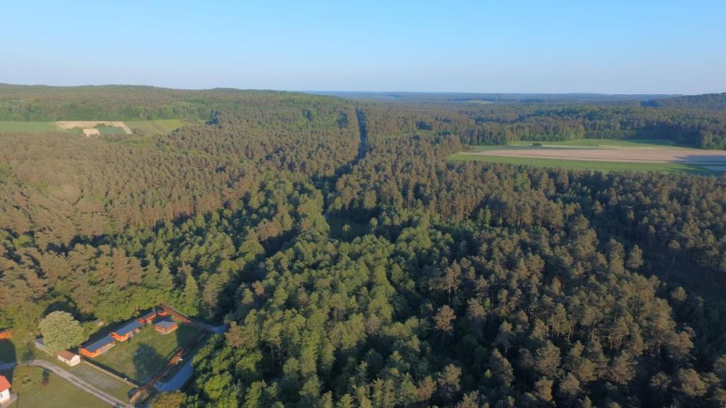 Príroda v okolí dovolenkového domu