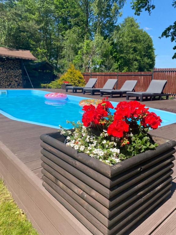 ein Pflanzer mit roten Blumen neben einem Pool in der Unterkunft Dom nad jeziorem in Słupia