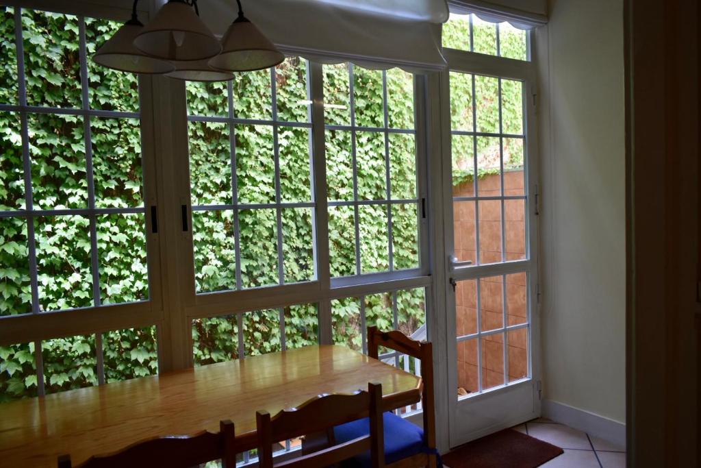 Oasis en el centro de Ourense - Housity