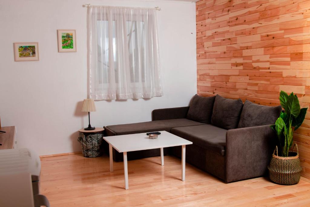 - un salon avec un canapé et une table dans l'établissement Apartments Marta, à Žabljak