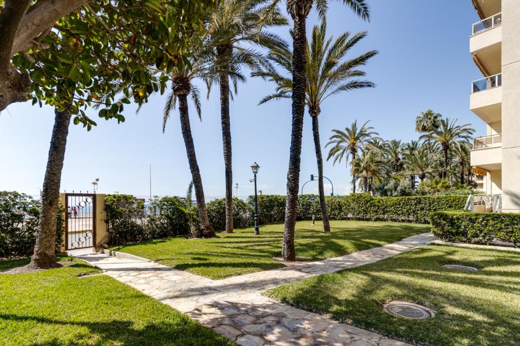 Fotografie z fotogalerie ubytování PALM-BEACH v destinaci Torrevieja