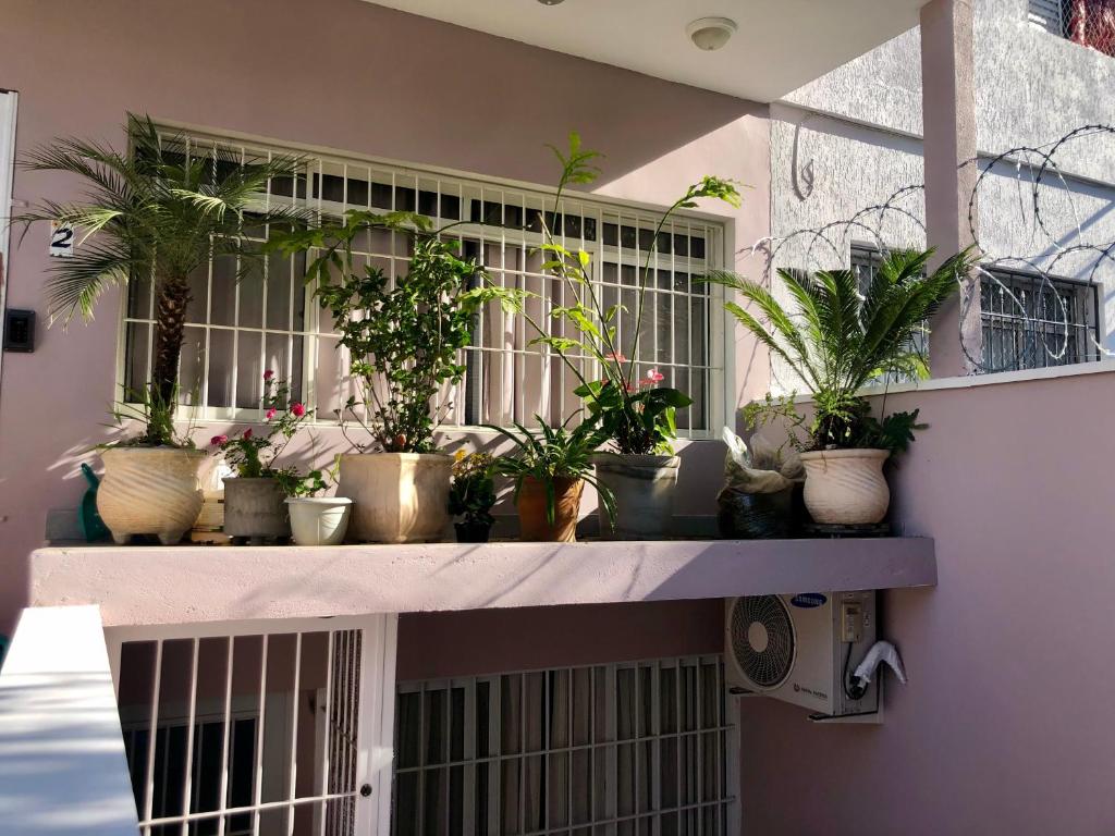  Casa Rosa