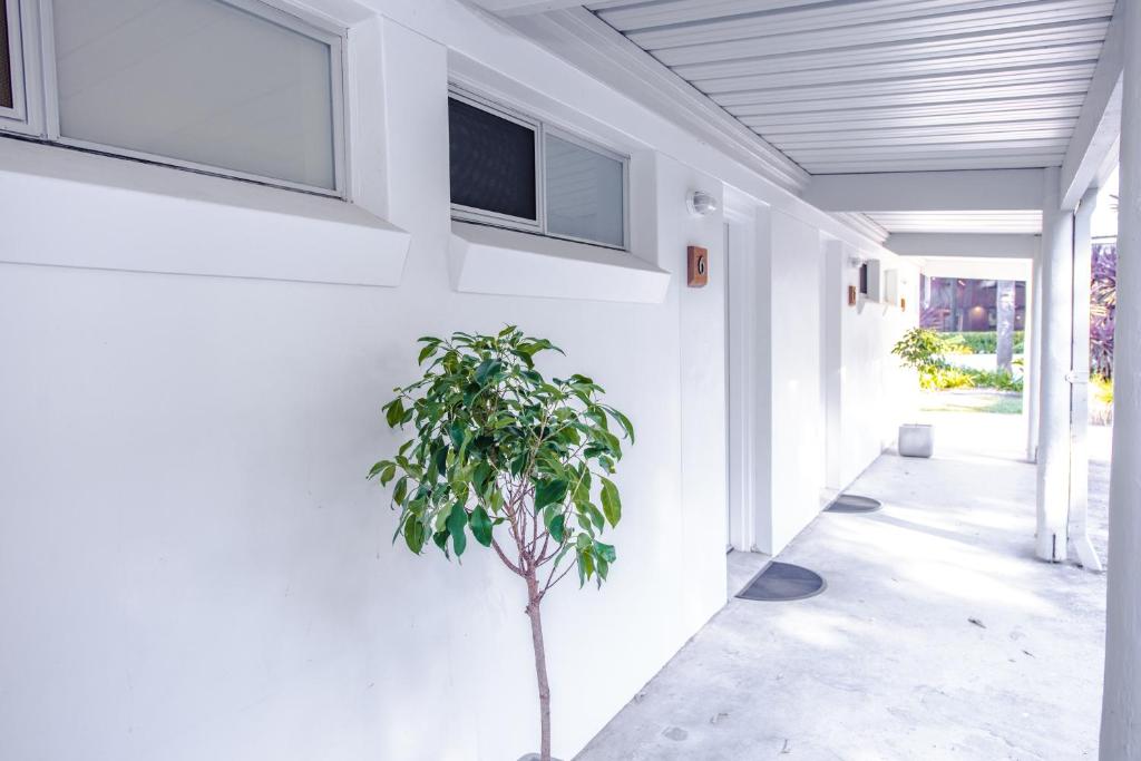 Comfort Inn Towradgi Beach photo