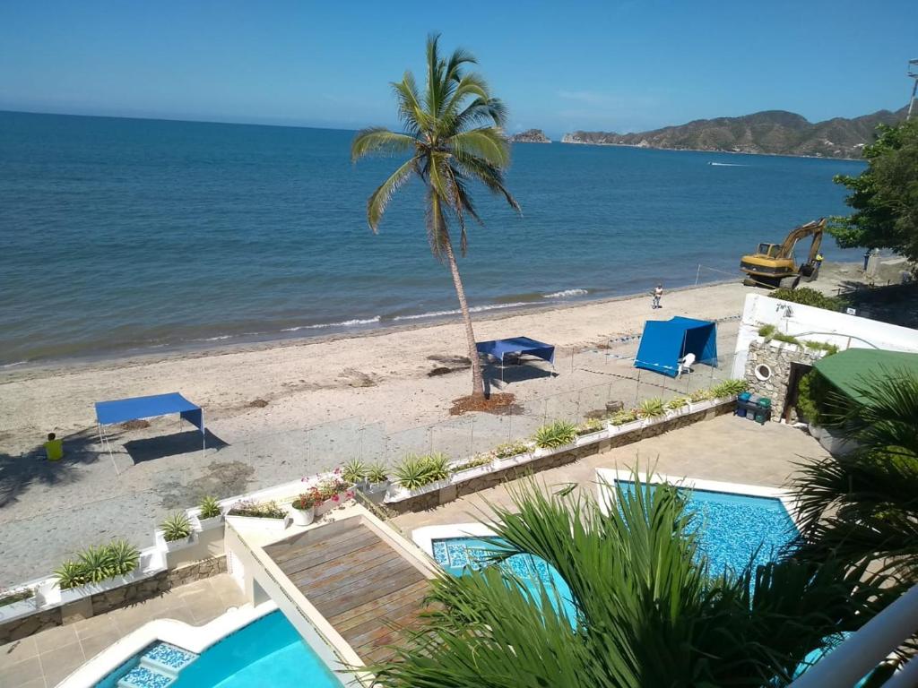 Blick auf einen Strand mit einer Palme in der Unterkunft Apto Nautilus 201 in Santa Marta