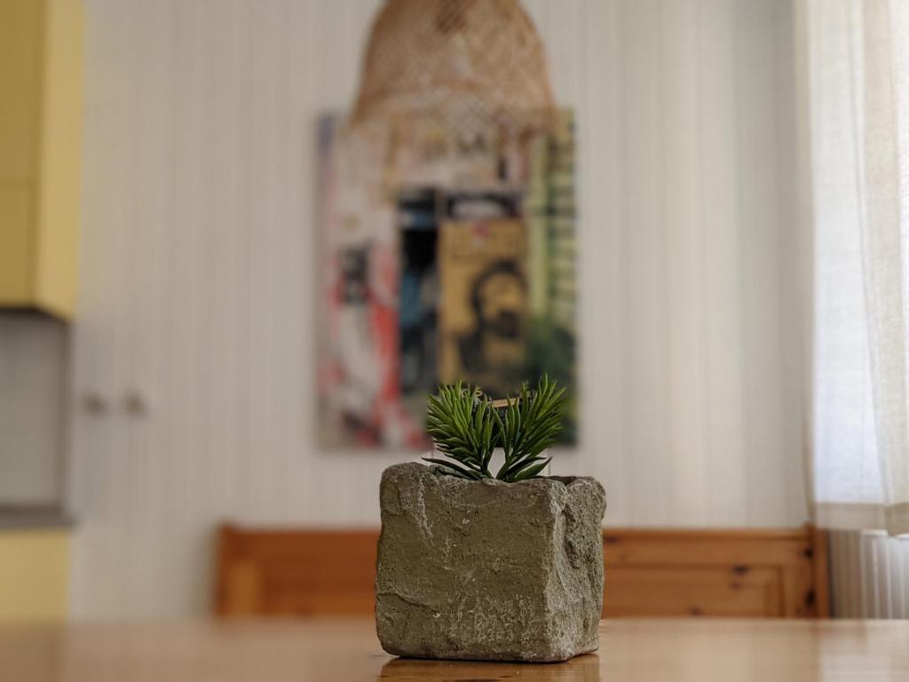 Fotografie z fotogalerie ubytování Casa Scerina v destinaci Sementina