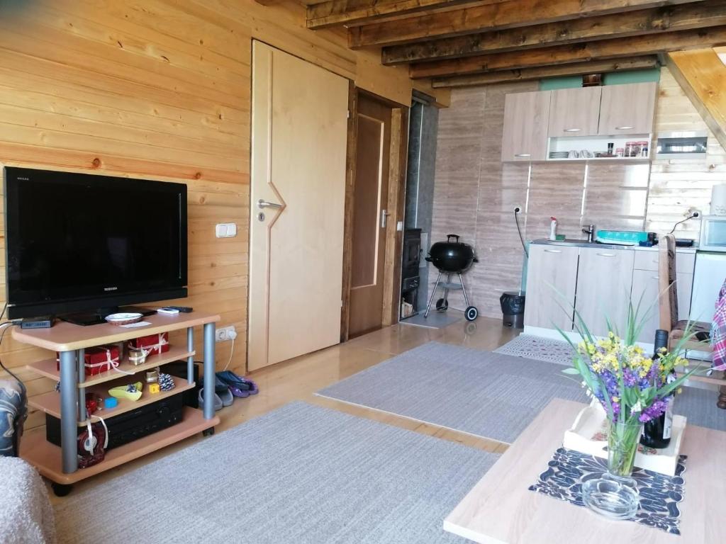 TV a/nebo společenská místnost v ubytování Vikendica Ines