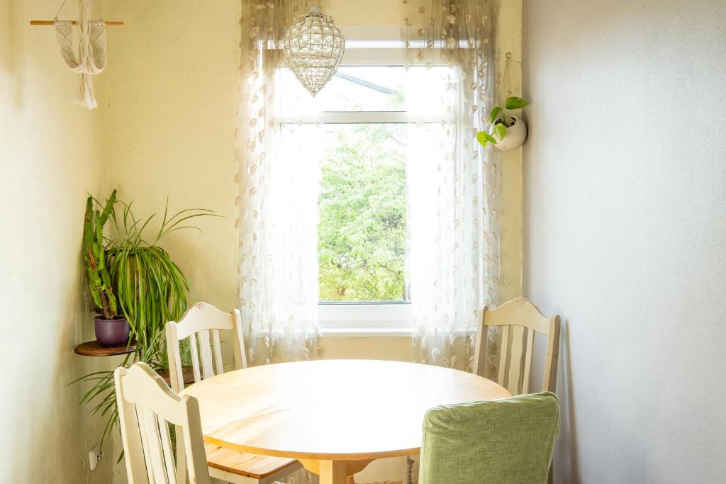 Artists Apartment near Telliskivi Creative Centre - Apartment
