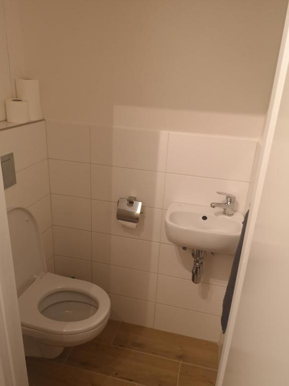 a bathroom with a toilet and a sink at Apartmán Spa Šumava in Zdíkov
