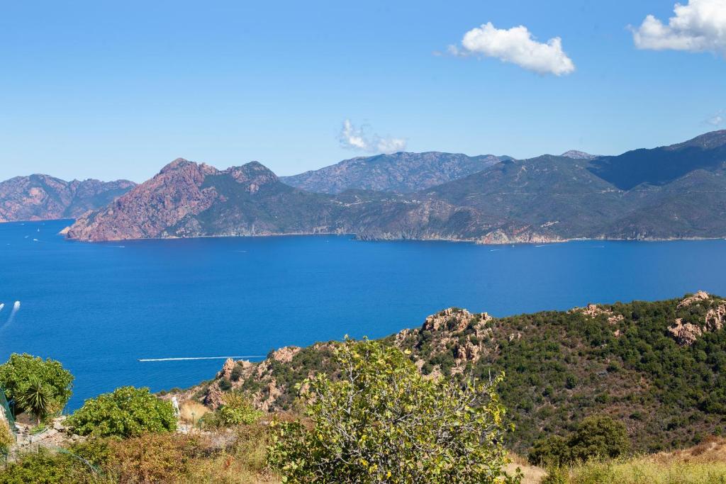 Blick auf einen großen Wasserkörper mit Bergen in der Unterkunft Résidence de la Tour in Piana