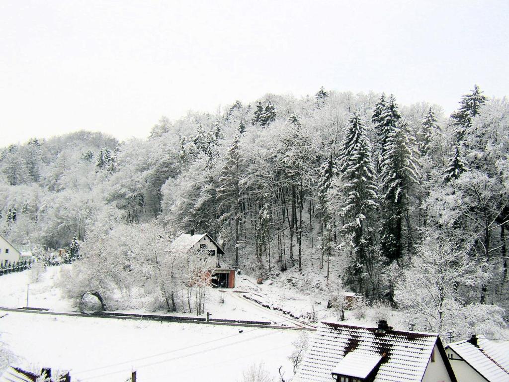 Gaestehaus Grau v zimě